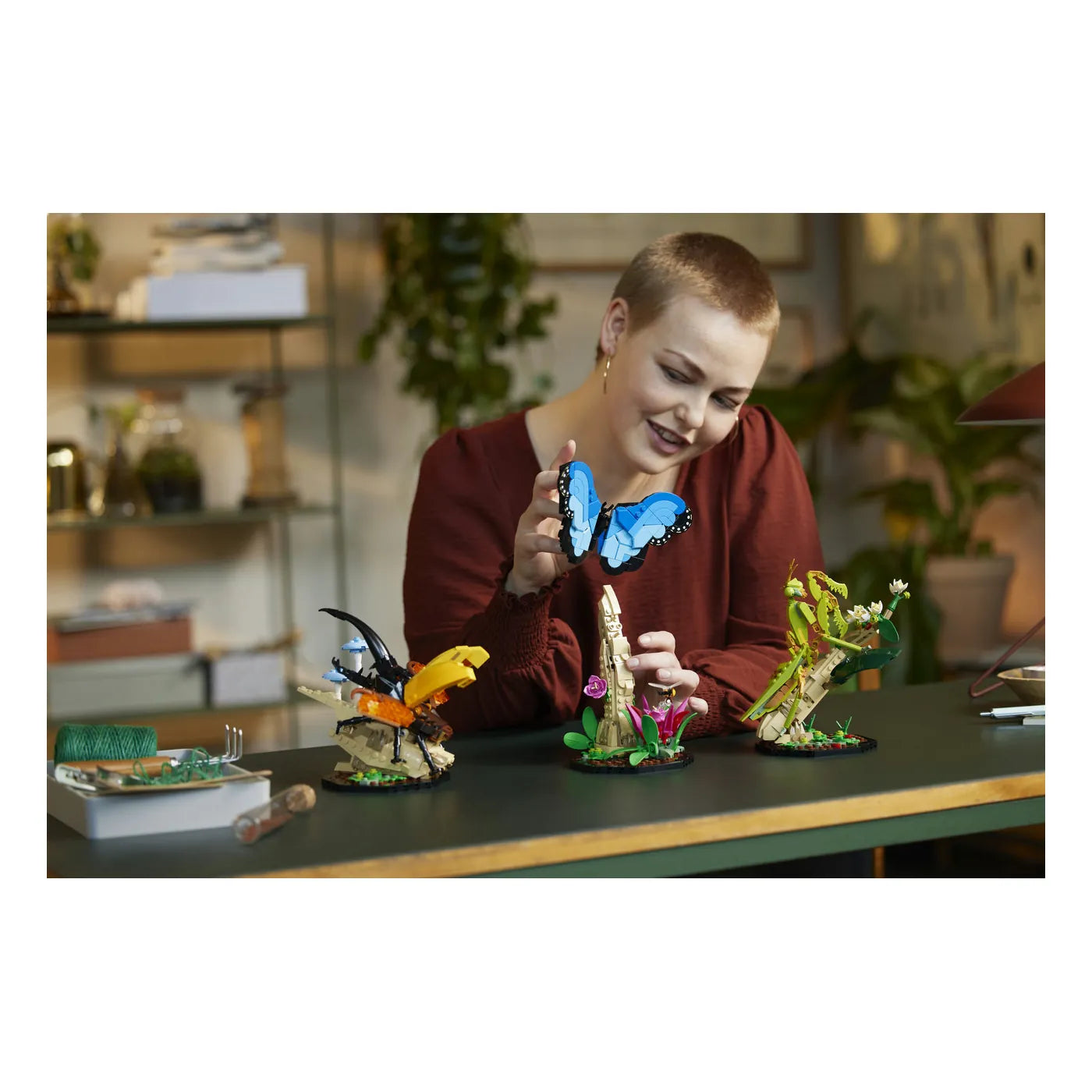 LEGO® Ideas 21342 Die Insektensammlung