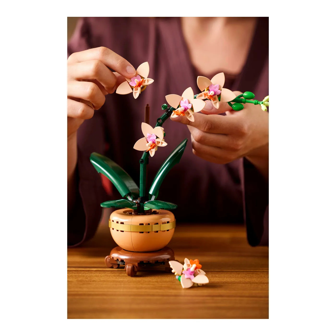LEGO® Botanicals 10343 Mini-Orchidee
