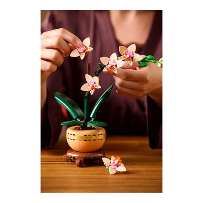 LEGO® Botanicals 10343 Mini-Orchidee